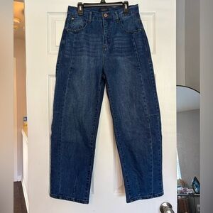 Curve Appeal Barrel Jeans 4/27